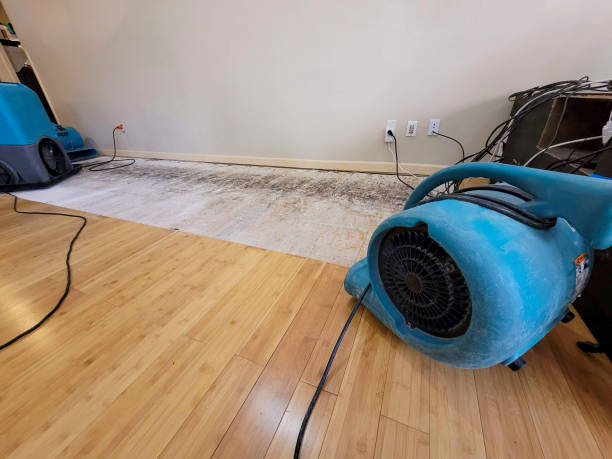 Professional Sewage Cleanup technician working in Avondale, CO